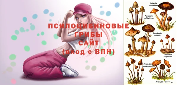 мескалин Бугульма
