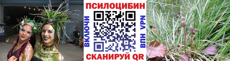 Псилоцибиновые грибы прущие грибы  где найти   Королёв 
