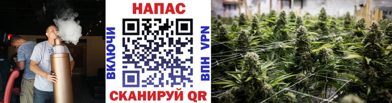 Бошки Шишки ГИДРОПОН  где купить наркоту  даркнет формула  Королёв  блэк спрут как зайти 